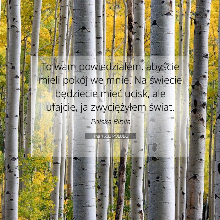 Jana 16:33 Komentarz Biblijny