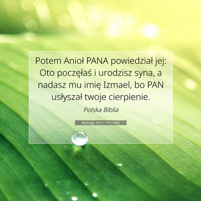 Rodzaju 16:11 POLUBG Obraz Wersetu Biblijnego