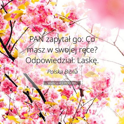 Wyjścia 4:2 POLUBG Obraz Wersetu Biblijnego