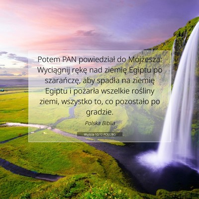 Wyjścia 10:12 POLUBG Obraz Wersetu Biblijnego