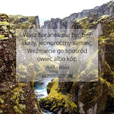 Wyjścia 12:5 POLUBG Obraz Wersetu Biblijnego