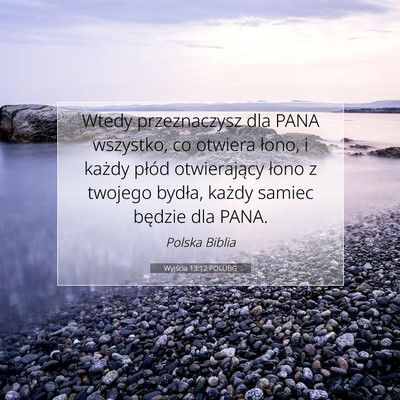 Wyjścia 13:12 POLUBG Obraz Wersetu Biblijnego