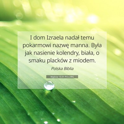 Wyjścia 16:31 POLUBG Obraz Wersetu Biblijnego