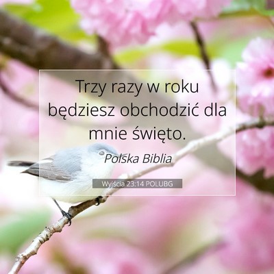 Wyjścia 23:14 POLUBG Obraz Wersetu Biblijnego