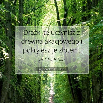 Wyjścia 30:5 POLUBG Obraz Wersetu Biblijnego