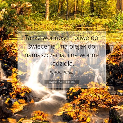 Wyjścia 35:28 Werset Biblijny Wyjaśniony