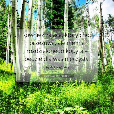 Kapłańska 11:6 Werset Biblijny Wyjaśniony