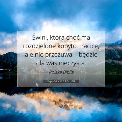 Kapłańska 11:7 POLUBG Obraz Wersetu Biblijnego