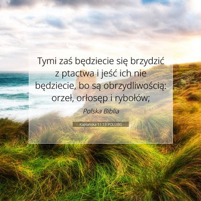 Kapłańska 11:13 POLUBG Obraz Wersetu Biblijnego