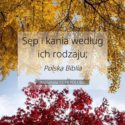 Kapłańska 11:14 Werset Biblijny Wyjaśniony