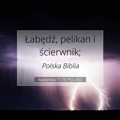Kapłańska 11:18 Werset Biblijny Wyjaśniony