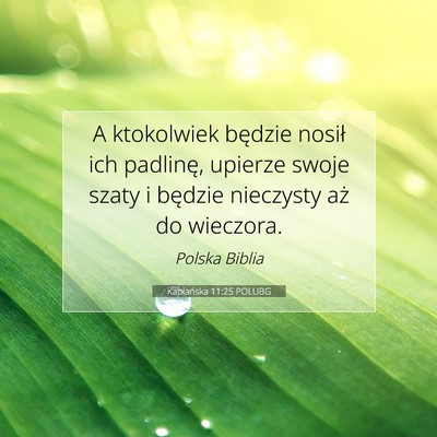 Kapłańska 11:25 POLUBG Obraz Wersetu Biblijnego