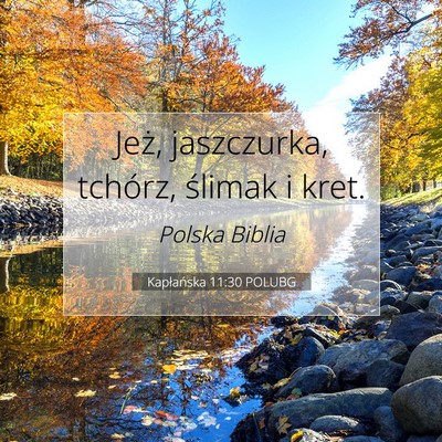 Kapłańska 11:30 Werset Biblijny Wyjaśniony