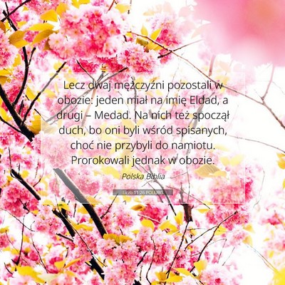Liczb 11:26 POLUBG Obraz Wersetu Biblijnego