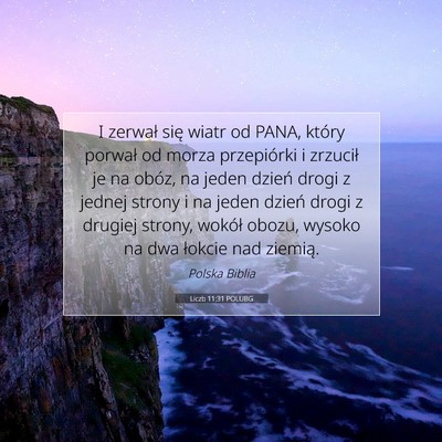 Liczb 11:31 POLUBG Obraz Wersetu Biblijnego