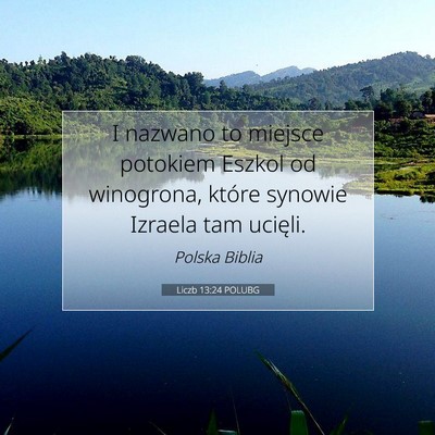 Liczb 13:24 POLUBG Obraz Wersetu Biblijnego