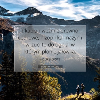 Liczb 19:6 POLUBG Obraz Wersetu Biblijnego