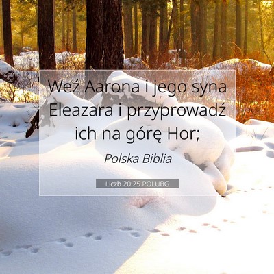 Liczb 20:25 POLUBG Obraz Wersetu Biblijnego