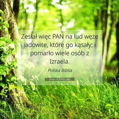 Liczb 21:6 POLUBG Obraz Wersetu Biblijnego