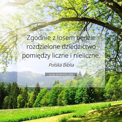 Liczb 26:56 Werset Biblijny Wyjaśniony