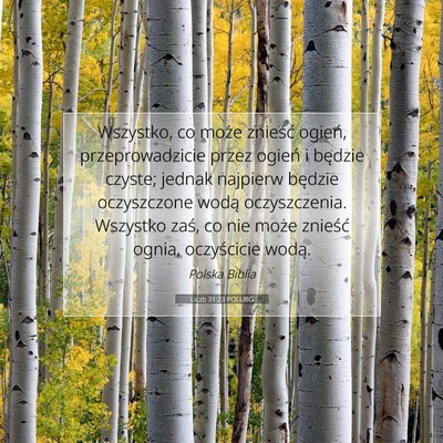 Liczb 31:23 Werset Biblijny Wyjaśniony