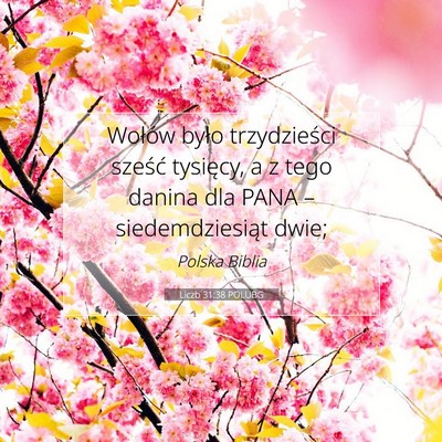 Liczb 31:38 Werset Biblijny Wyjaśniony