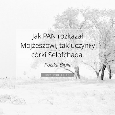 Liczb 36:10 Werset Biblijny Wyjaśniony