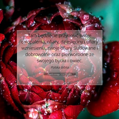 Powtórzonego 12:6 POLUBG Obraz Wersetu Biblijnego