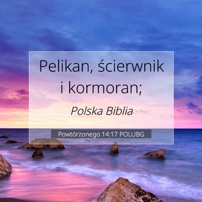Powtórzonego 14:17 Werset Biblijny Wyjaśniony