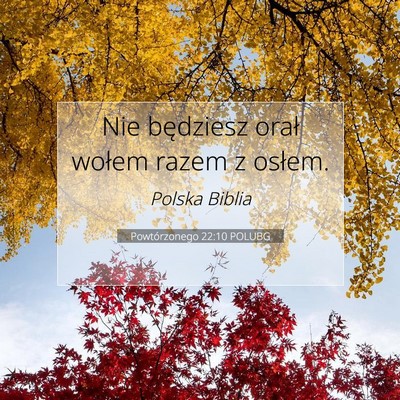Powtórzonego 22:10 Werset Biblijny Wyjaśniony