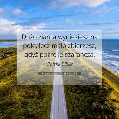 Powtórzonego 28:38 POLUBG Obraz Wersetu Biblijnego