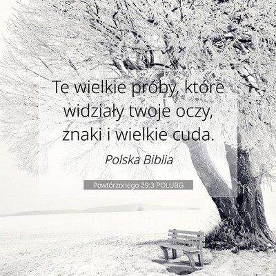 Powtórzonego 29:3 POLUBG Obraz Wersetu Biblijnego