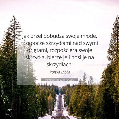 Powtórzonego 32:11 POLUBG Obraz Wersetu Biblijnego