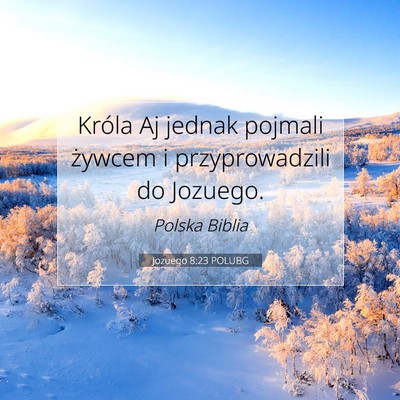 Jozuego 8:23 Werset Biblijny Wyjaśniony
