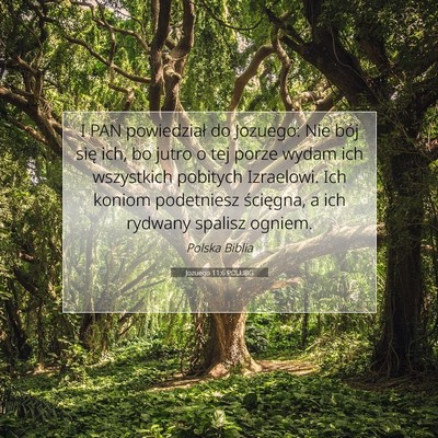 Jozuego 11:6 POLUBG Obraz Wersetu Biblijnego
