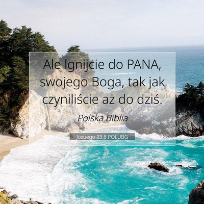 Jozuego 23:8 POLUBG Obraz Wersetu Biblijnego