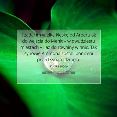Księga Sędziów 11:33 POLUBG Obraz Wersetu Biblijnego