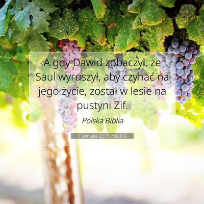 1 Samuela 23:15 Werset Biblijny Wyjaśniony