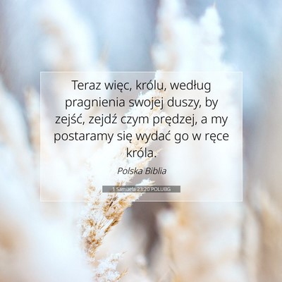1 Samuela 23:20 Werset Biblijny Wyjaśniony