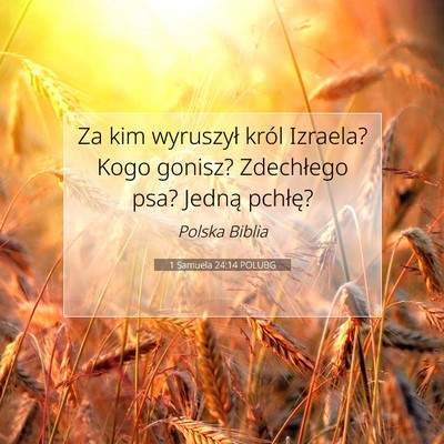 1 Samuela 24:14 POLUBG Obraz Wersetu Biblijnego