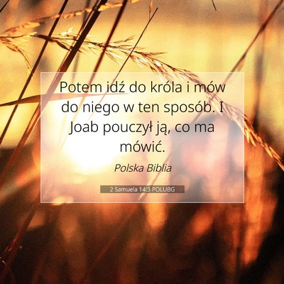 2 Samuela 14:3 Werset Biblijny Wyjaśniony