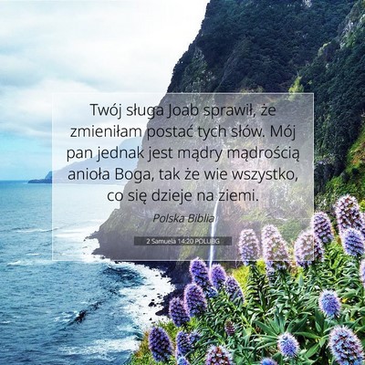 2 Samuela 14:20 POLUBG Obraz Wersetu Biblijnego