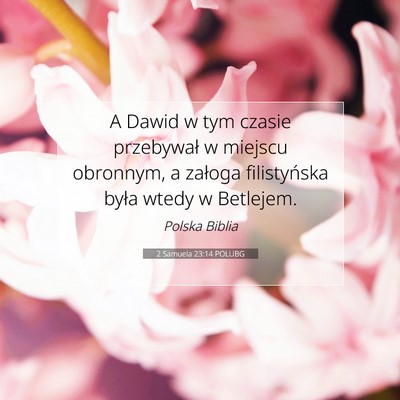 2 Samuela 23:14 POLUBG Obraz Wersetu Biblijnego
