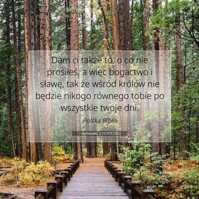 1 Królewska 3:13 POLUBG Obraz Wersetu Biblijnego