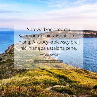 1 Królewska 10:28 POLUBG Obraz Wersetu Biblijnego