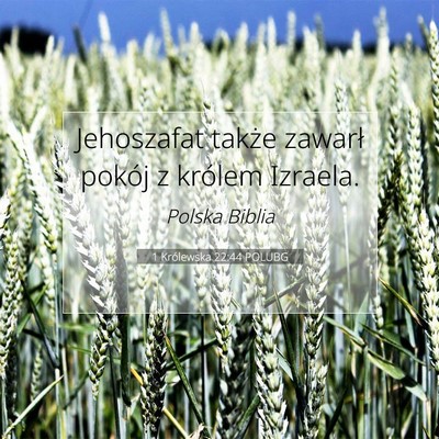 1 Królewska 22:44 Werset Biblijny Wyjaśniony