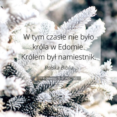 1 Królewska 22:47 Werset Biblijny Wyjaśniony