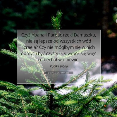 2 Królewska 5:12 Werset Biblijny Wyjaśniony