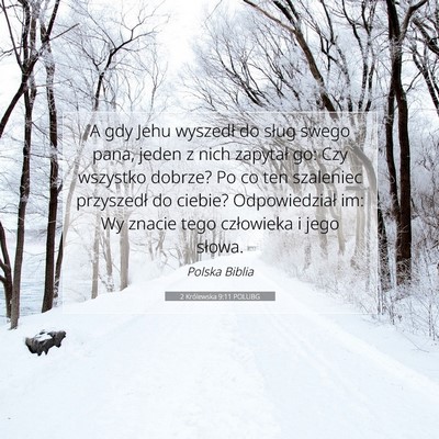 2 Królewska 9:11 POLUBG Obraz Wersetu Biblijnego