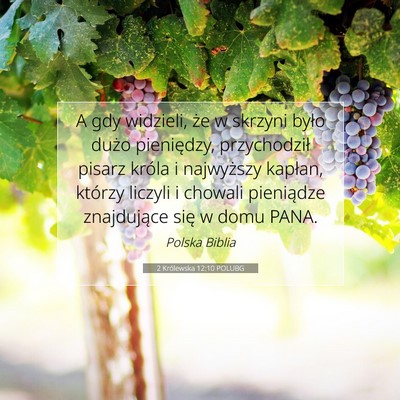 2 Królewska 12:10 Werset Biblijny Wyjaśniony